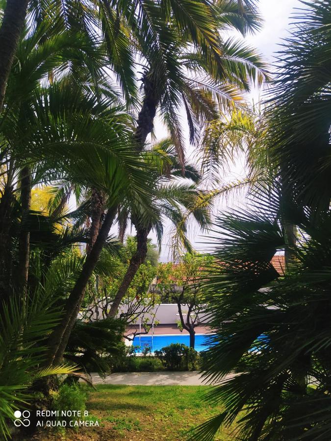 Pergolato Junior Apartment Sanremo Ngoại thất bức ảnh